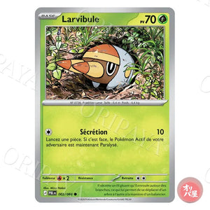 Larvibule 002/084 Nuit Noire PBL