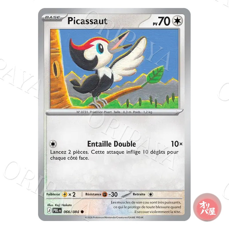 Picassaut 066/084 Nuit Noire PBL